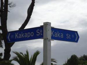 lustige Straßennamen :)