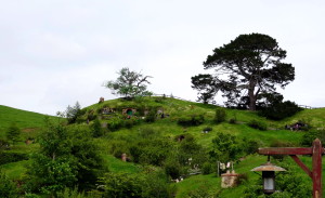 Hobbitland am Fuße des Hügels