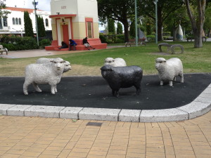 Schafe in der Innenstadt ;-)